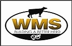 WMS ( adaptat în România)